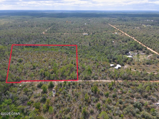 Listing photo 3 for 10ACRES Lane Ln, Chipley FL 32428