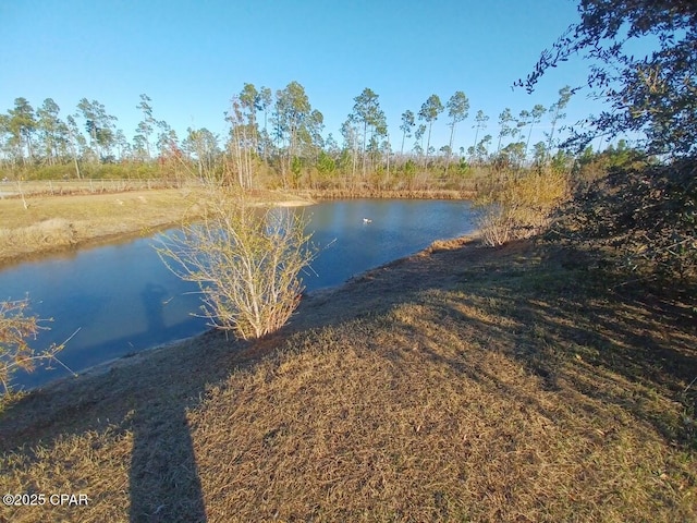 view of water feature