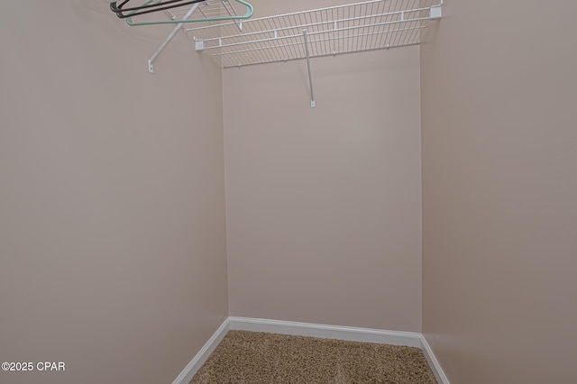 spacious closet with carpet