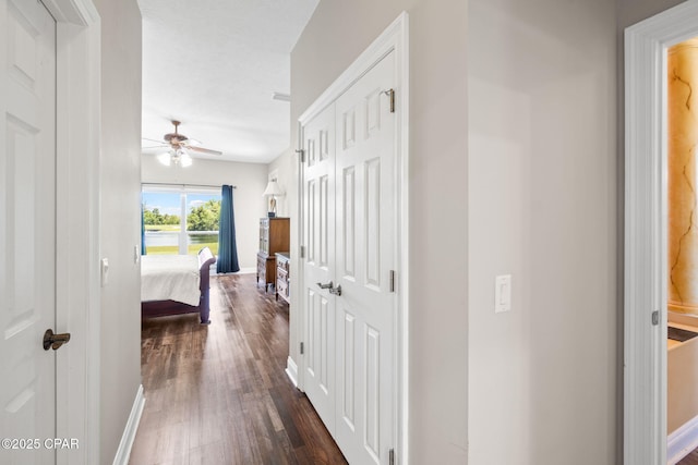 corridor featuring dark hardwood / wood-style flooring