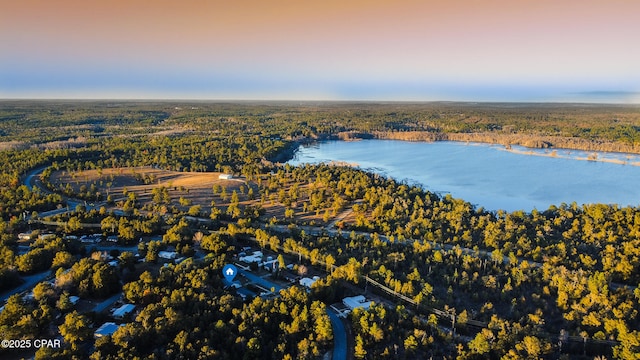 drone / aerial view featuring a wooded view and a water view