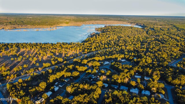 bird's eye view featuring a forest view and a water view