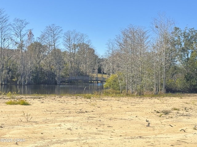 view of local wilderness with a water view