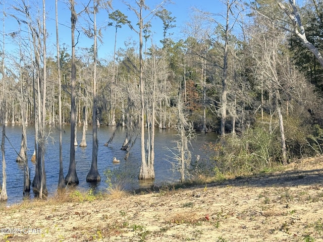 view of water feature