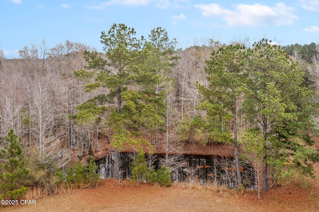 view of local wilderness