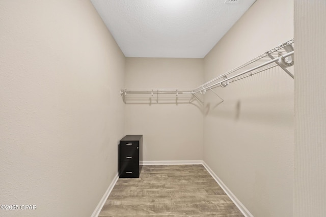 walk in closet featuring hardwood / wood-style flooring