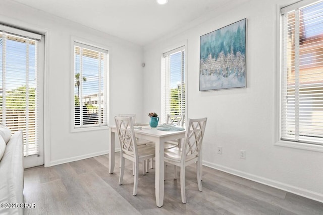 dining area with light hardwood / wood-style floors