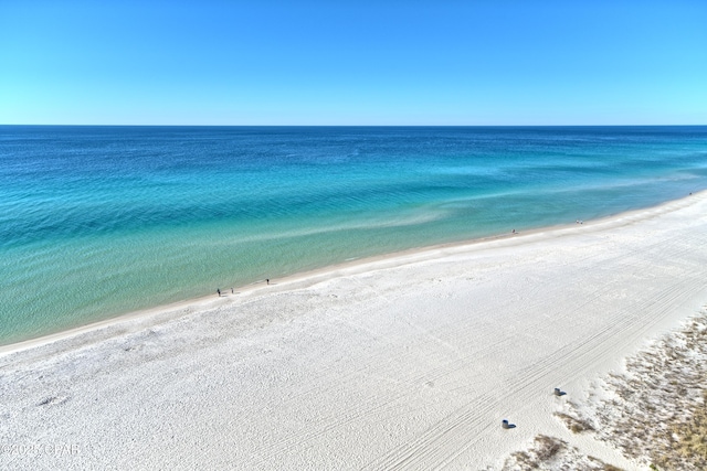 property view of water featuring a beach view