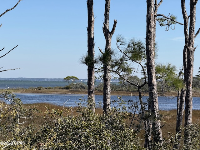 TBD Cape San Blas Rd, Cape San Blas FL, 32456 land for sale