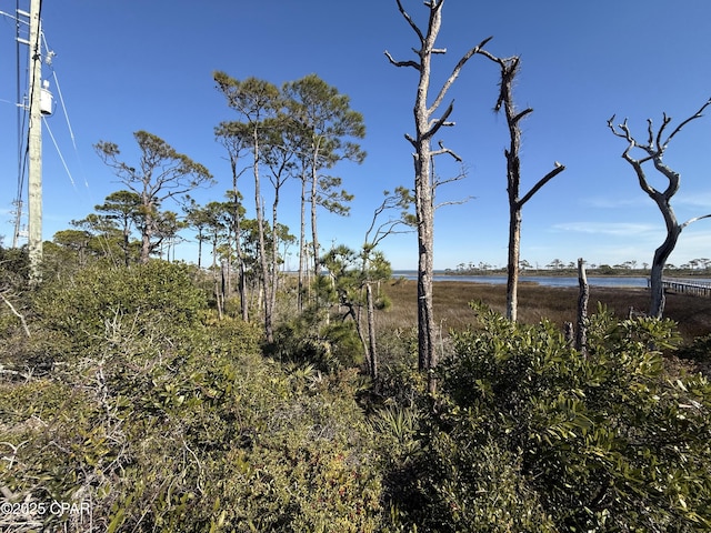 Listing photo 2 for TBD Cape San Blas Rd, Cape San Blas FL 32456