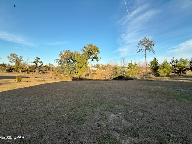 view of yard featuring a rural view