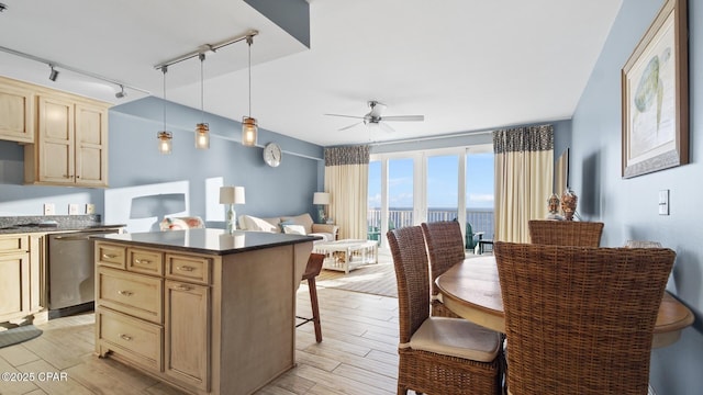 kitchen with dishwasher, pendant lighting, track lighting, ceiling fan, and a water view