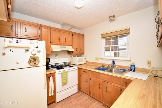 kitchen with sink, white appliances, a textured ceiling, and light hardwood / wood-style flooring