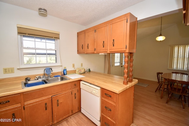 kitchen with sink, light hardwood / wood-style floors, decorative light fixtures, and dishwasher