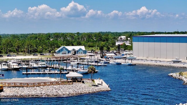 dock area with a water view