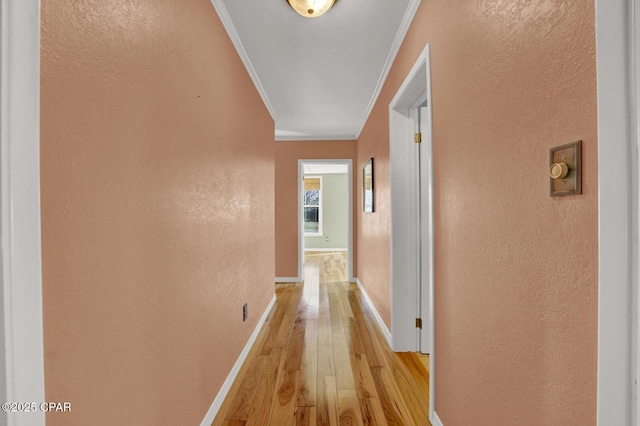 hall featuring crown molding and light hardwood / wood-style flooring