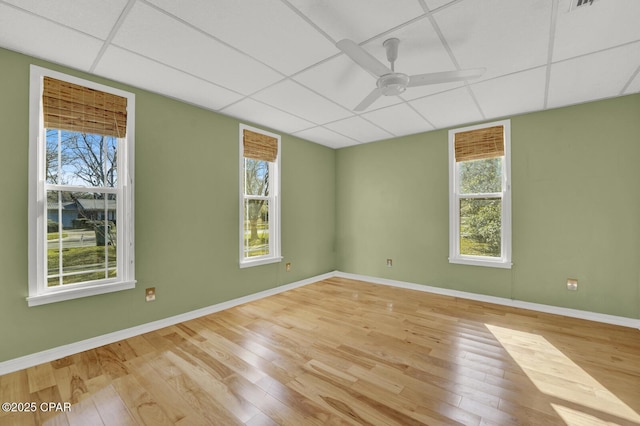 empty room featuring ceiling fan, a healthy amount of sunlight, light hardwood / wood-style floors, and a drop ceiling