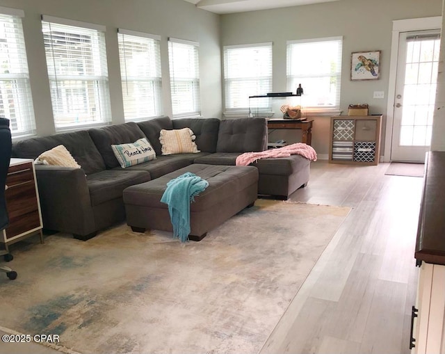 living room featuring a wealth of natural light and light wood-type flooring