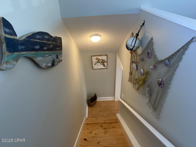 corridor featuring hardwood / wood-style flooring