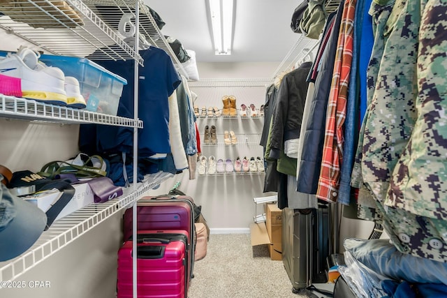 walk in closet featuring carpet flooring