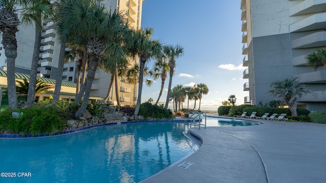 view of swimming pool