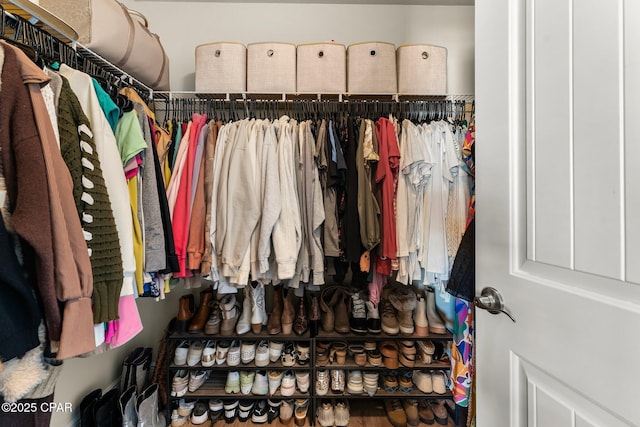 view of walk in closet