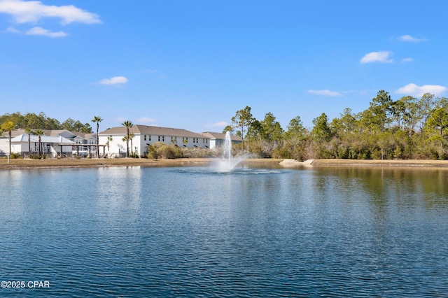 view of water feature