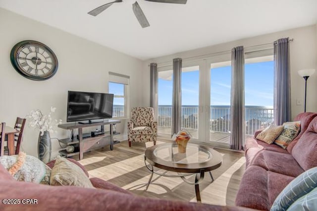 living room with a wealth of natural light, light hardwood / wood-style flooring, and ceiling fan