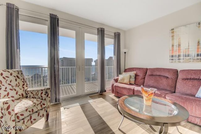 living room featuring hardwood / wood-style floors