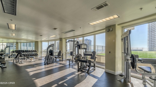 exercise room with plenty of natural light