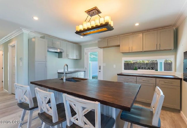 kitchen featuring wood counters, light hardwood / wood-style floors, sink, gray cabinetry, and crown molding