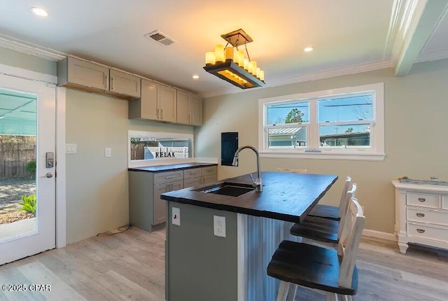 kitchen featuring an island with sink, sink, gray cabinets, and light hardwood / wood-style floors