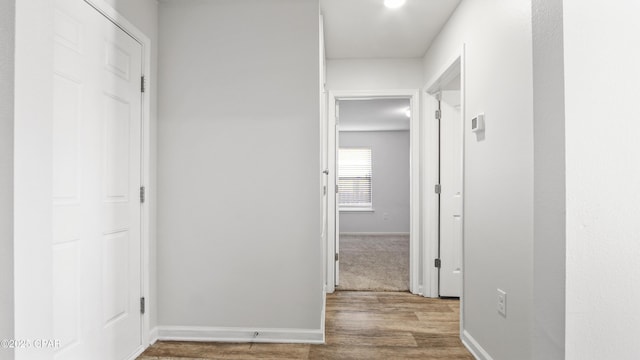 hallway featuring hardwood / wood-style floors