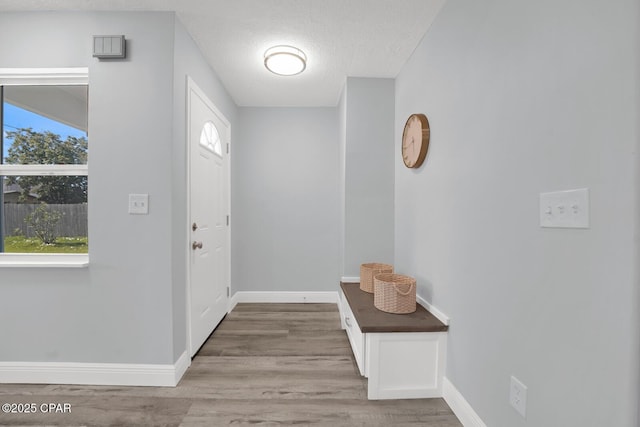 entrance foyer with a wealth of natural light, baseboards, and wood finished floors