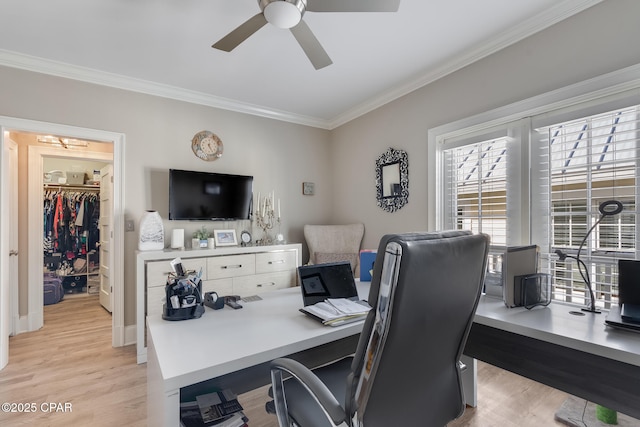 office featuring light hardwood / wood-style floors, ceiling fan, and crown molding