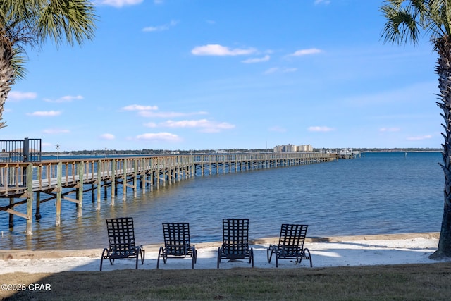 dock area with a water view