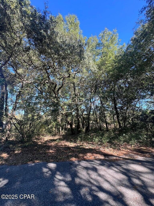 00 Laird Dr, Freeport, FL 32439