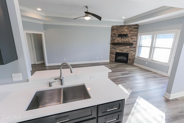 kitchen with ceiling fan, sink, a stone fireplace, crown molding, and light hardwood / wood-style floors