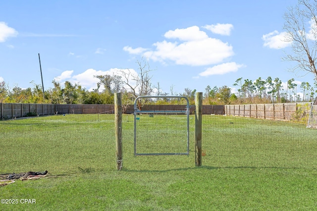 view of yard