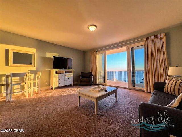 view of carpeted living room