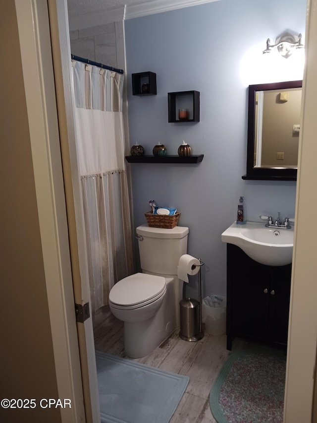 bathroom with toilet and vanity