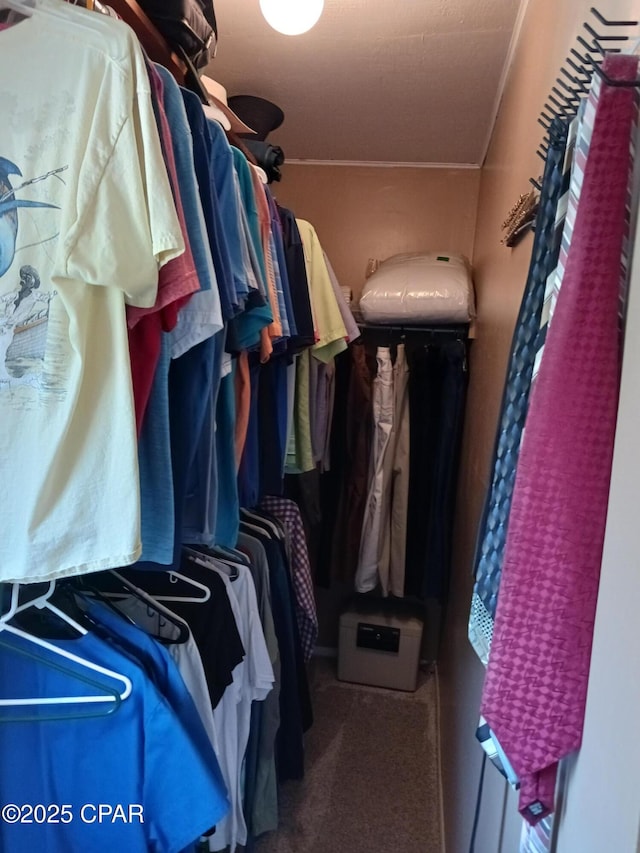 spacious closet featuring carpet flooring