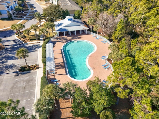 view of swimming pool with a patio area