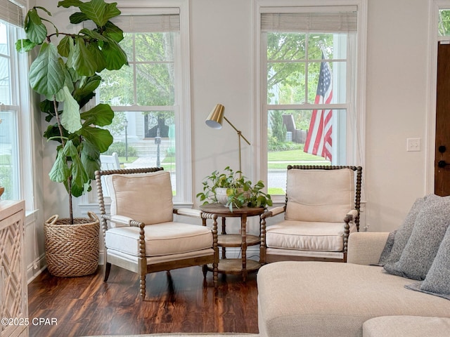 sitting room with dark hardwood / wood-style flooring