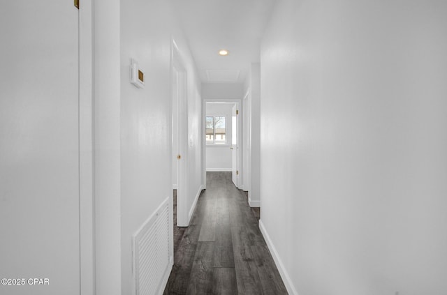 corridor featuring dark hardwood / wood-style flooring