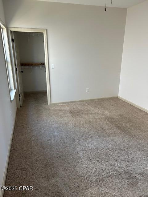 empty room featuring carpet floors