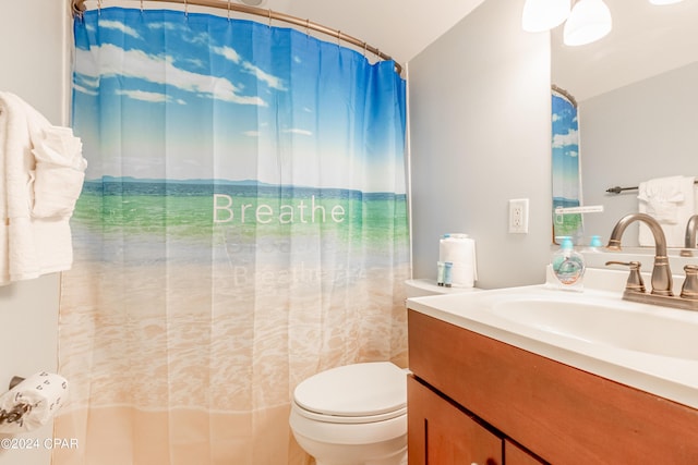 bathroom with vanity, walk in shower, and toilet