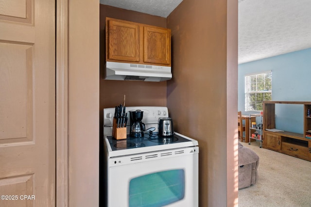 kitchen with light carpet, electric range, and a textured ceiling