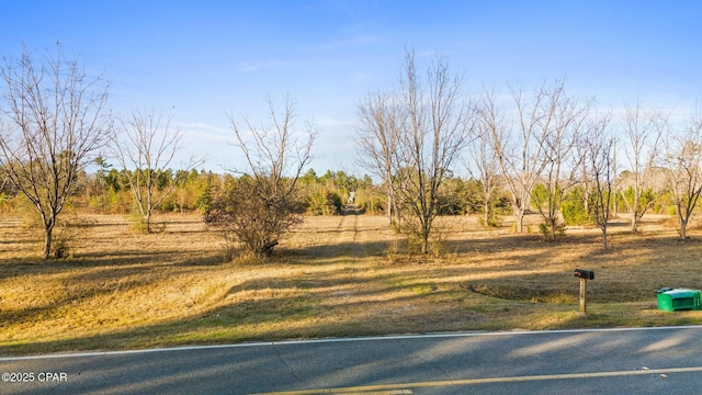 view of road featuring a rural view