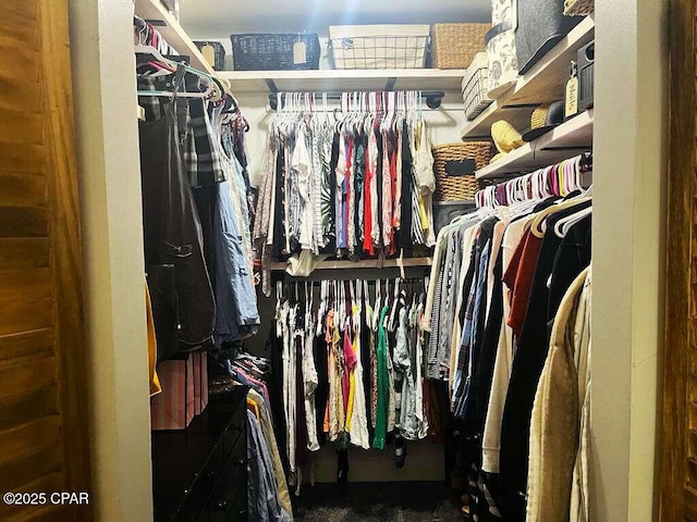 view of spacious closet